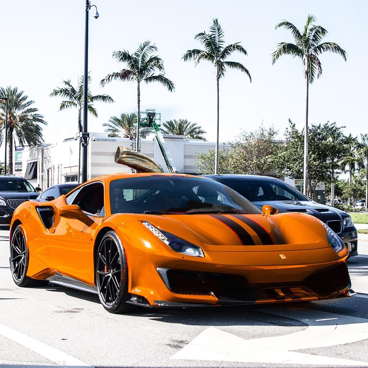 carpxrnpicx tweet picture