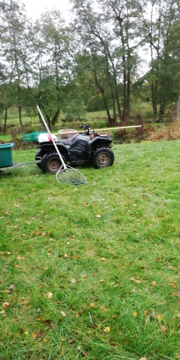 Busy weekend ahead, three mkts, Ringwood on Saturday and Romsey and Petersfield on Sunday, 🤞for better weather...🕷️🚜🎃🎣
Look forward to seeing you there
#staysafestaylocal
#smoketrout
#farmers
#hampshiretrout