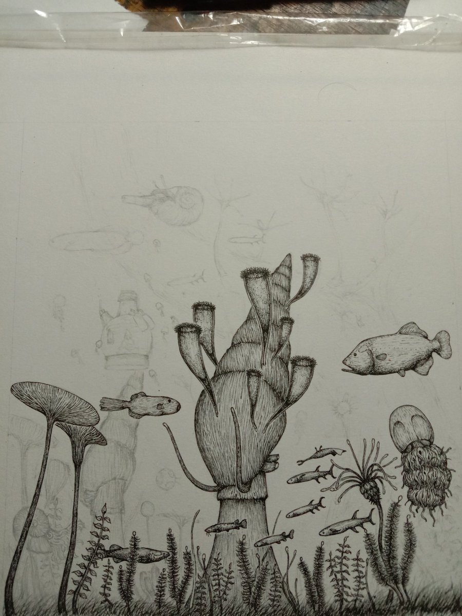 KWaltrud's tweet photo. Wip https://t.co/ebXRFkhyga