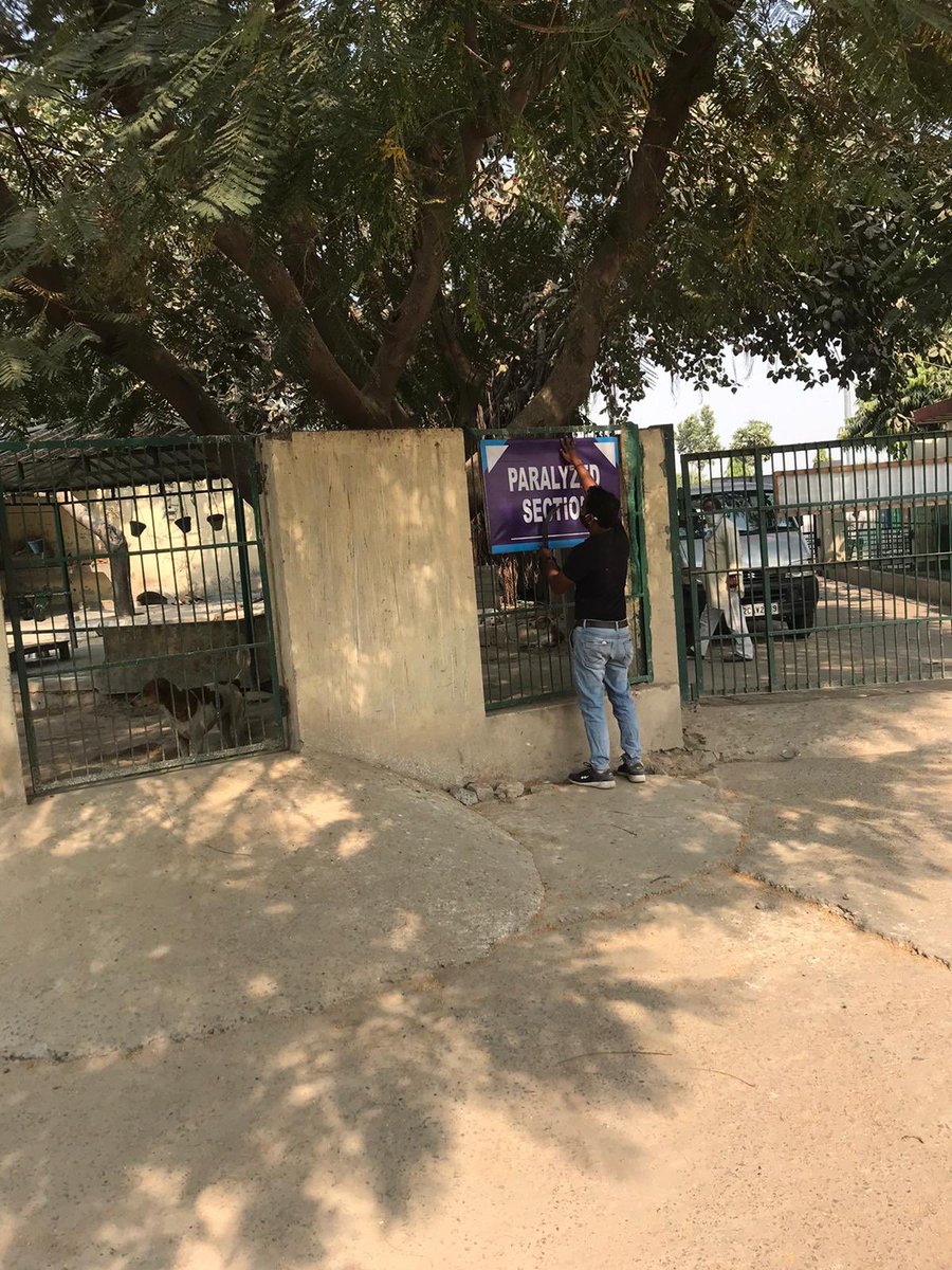 AHSN_Volunteers's tweet photo. #Facelift #Improvements #df_ahsn

The shelter is slowly getting transformed. Small facelifts like landfills, cow slings, cow mats, and nameplates for each section are popping up around the place.
The volunteers and staff are feeling good! What about you? 😎 https://t.co/JR3JlUK8oa