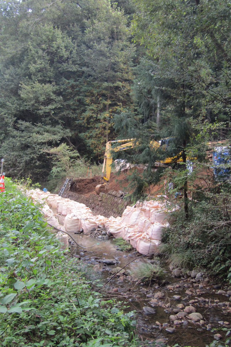 桐 Kirikirimai69 Twitter