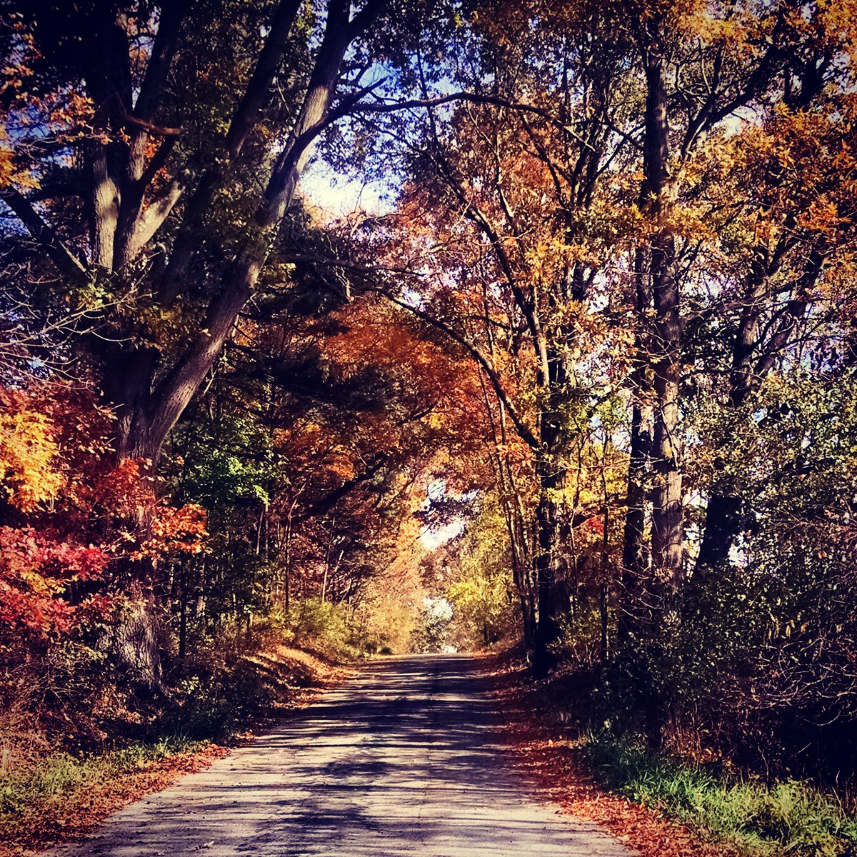 Waynewings's tweet image. GREAT WEATHER FOR A RIDE!
Amish Country Motorcycle Ride Guide 
Get your FREE guide here-
wccvb.com/sites/default/… …
#getawayne #rideguide #motorcycle
@Ohio_Tourism @OhioTravel @OhioFindItHere #BeSafe