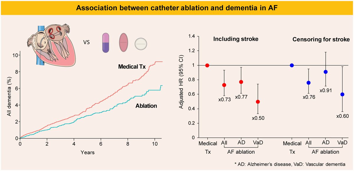 Less dementia 🧠 after #catheterablation for #atrialfibrillation 💝 👉🏼 academic.oup.com/eurheartj/adva… #EPeeps