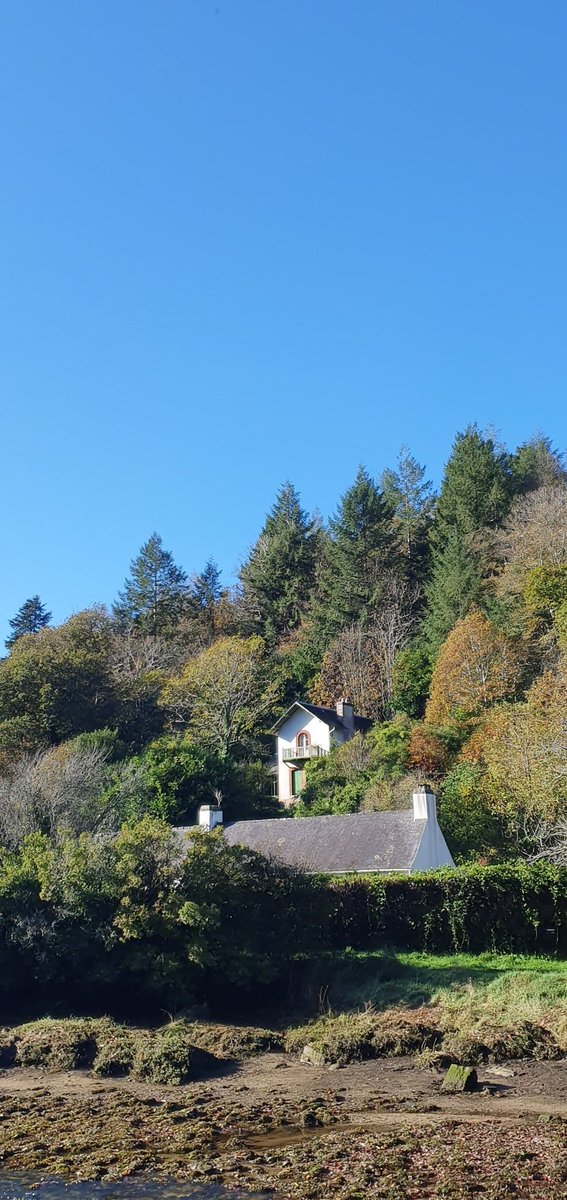 GaelleLeCam's tweet photo. #reconfinement #confinement2jour6
#cheminer #Bretagne
🍂 L'automne flamboyant aujourd'hui nous rappelle que la Terre et l'humanité ne s'interpénètrent pas comme on le penserait. Il fait beau à l'extérieur lorsque c'est la tempête à l'intérieur du monde commun des existences. https://t.co/GnVQnGQPsP