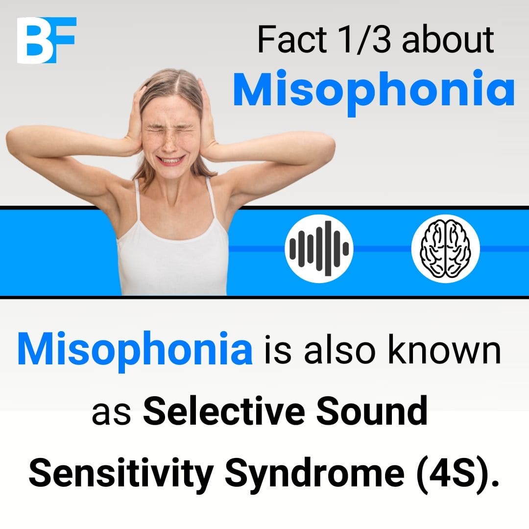 ContactBenfeel's tweet photo. A link in the bio (👉 @benfeel.misophone) is available to :⠀
1) Do a free online test to know if you are misophone⠀
2) Join our Facebook Group for Misophone to get help and tips to improve your daily life⠀
#therapy #behappy #support #misophoniaawareness #disorder #therapist https://t.co/gTFi4Sam2t