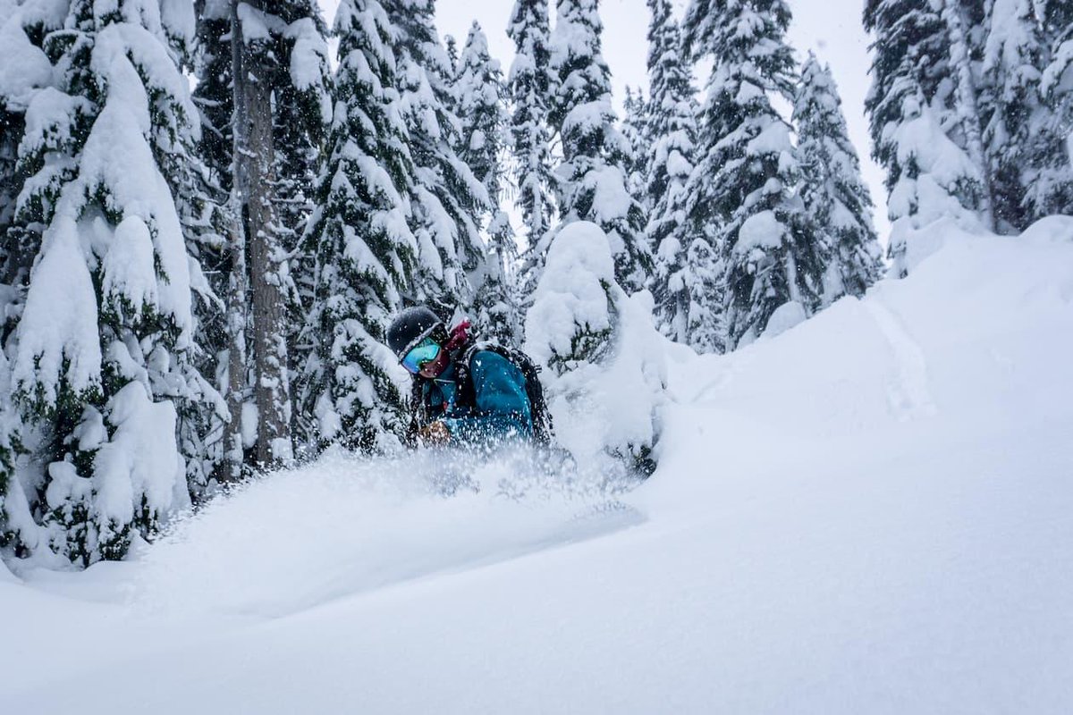 IAmASnowSeeker's tweet photo. Cheers to the backcountry!
#IndigenousWomenOutdoors is looking for mentors & guides to see more Indigenous women outdoors:
https://t.co/Bw5vAWzSFO
@Doc_Pow #SnowSeekers #backcountrymentorship #backcountry #indigenousrise #diversifyoutdoors @IndigenousBC @CAN_Indigenous https://t.co/LrMZiDBFmq