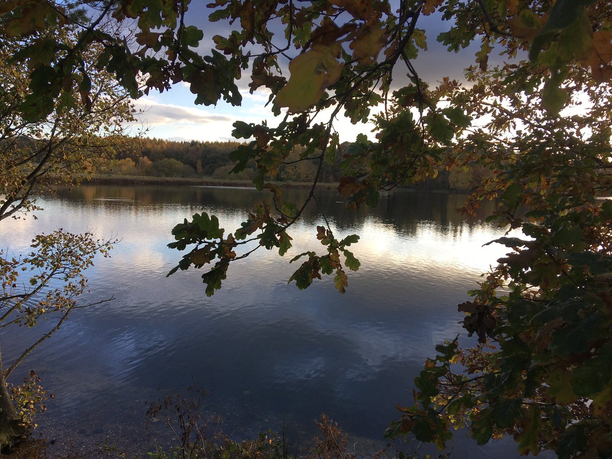 Helen Wilkinson (@helencwilkinson) on Twitter photo Took an afternoon off for lunch in a local cafe and a pre-lockdown walk <a href="/NTClumberPark/">Clumber Park, National Trust</a> . Booked before I realised parks could stay open. But it was a little oasis of calm and certainly not an afternoon wasted. Took an afternoon off for lunch in a local cafe and a pre-lockdown walk <a href="/NTClumberPark/">Clumber Park, National Trust</a> . Booked before I realised parks could stay open. But it was a little oasis of calm and certainly not an afternoon wasted.