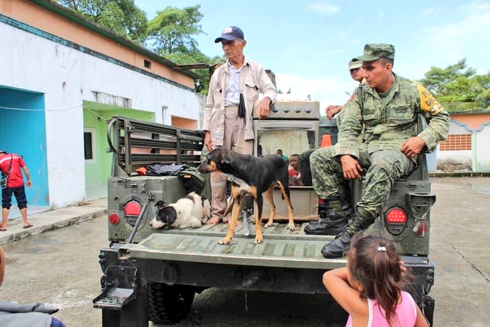 YaEsNoticiaMx's tweet photo. #TabascoBajoElAgua | Porque ellos también sufren en la inundación, son rescatados por soldados de la @SEDENAmx y policías del Mpio. De @ComalcalcoMX  para llevarlos a los refugios.  

@DefensaAnimal @BetyManrique @RescateAnimal @DefAnimalMX https://t.co/HVqjLBPSYj