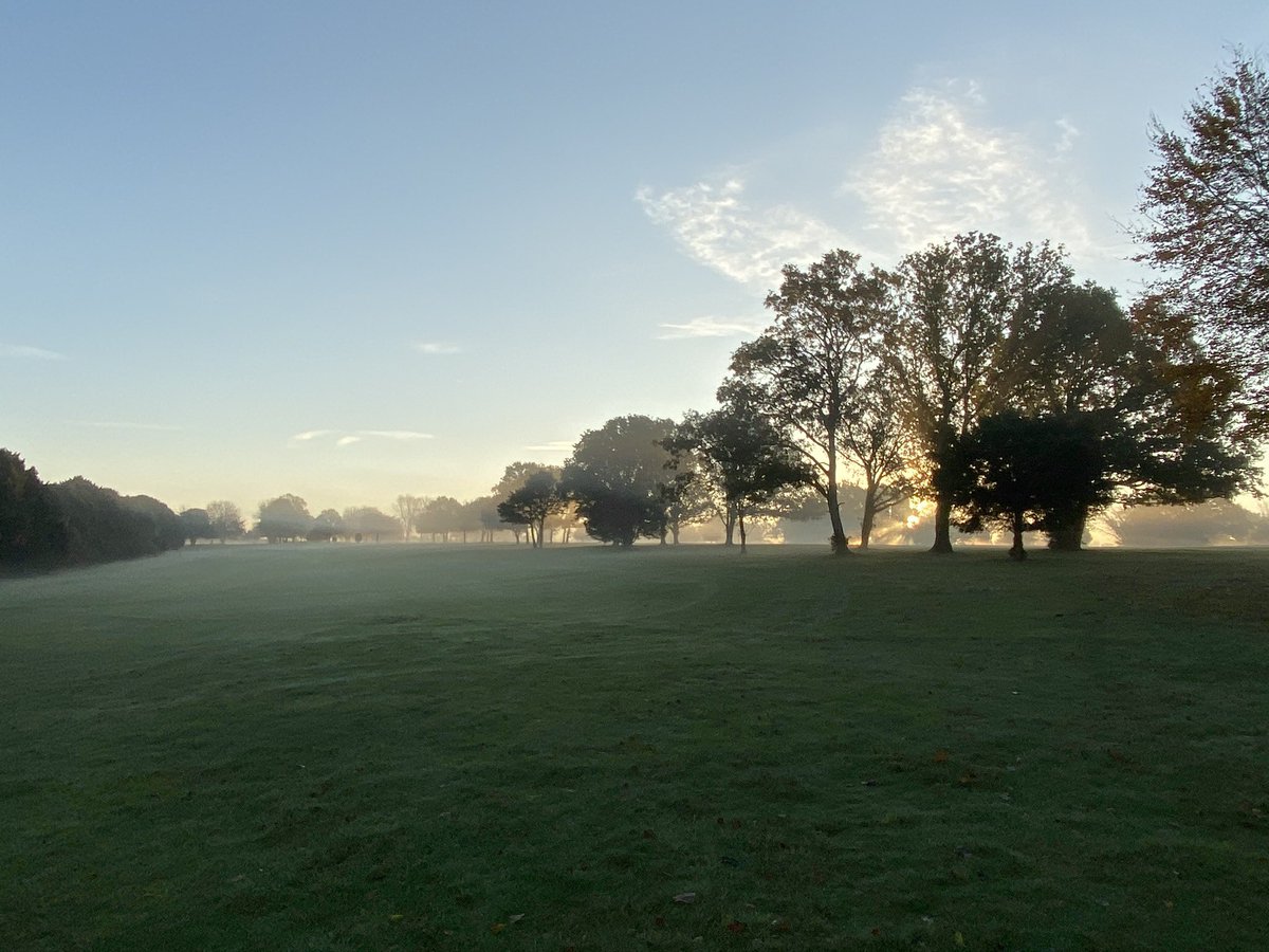 iestyn carpenter tweet media