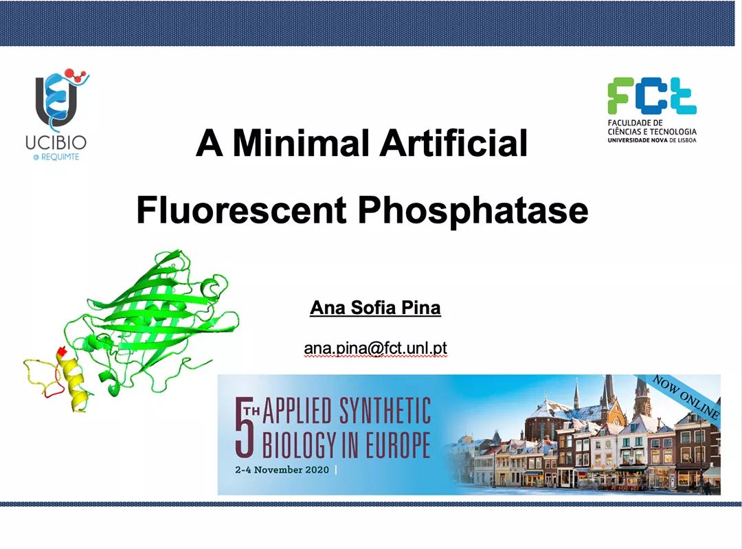 Biomeng_lab's tweet photo. Last Monday, @AnaSofiaPina1 took part in @EFBiotechnology 5th edition of #ASBEV with the work "A Minimal Artificial Fluorescent Phosphatase", which had great contributions from @BeatrizdePMari1 & @SaraCar63314589. Congratulations!
#SynBio #Biotechnology #bioengineering https://t.co/p21tGznHEw