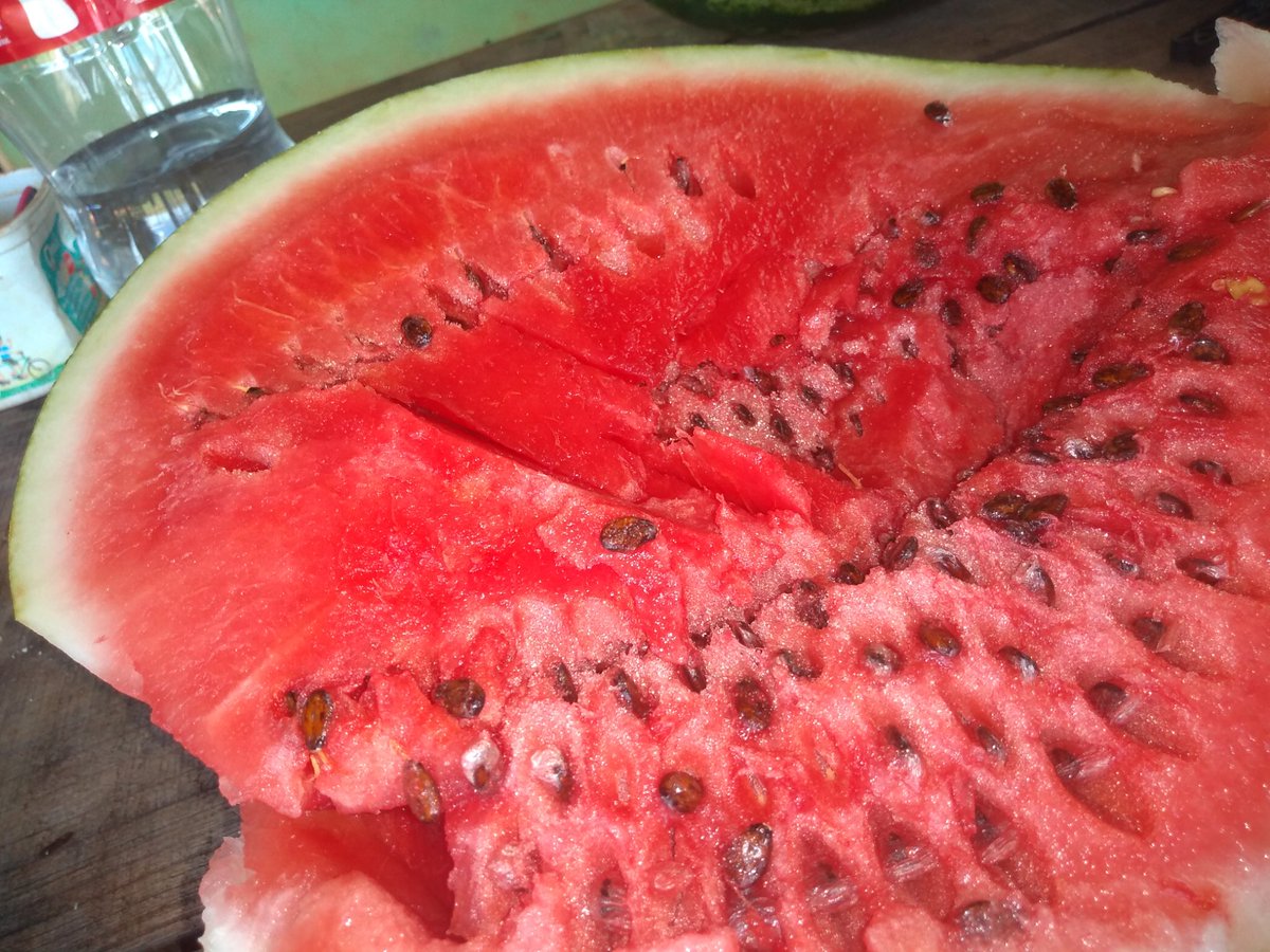 selgabii's tweet photo. Vamos de melancia 🍉 pra aguentar até amanhã 😁😋 #corvadia... https://t.co/4LtGw0M3J3