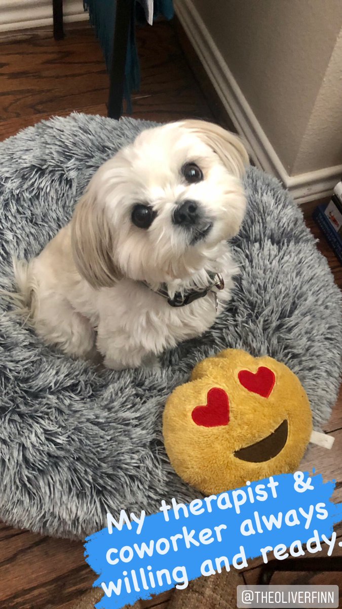kaseym99's tweet photo. @enews Hello from Oliver Finn! https://t.co/Dmi0sb2yh4