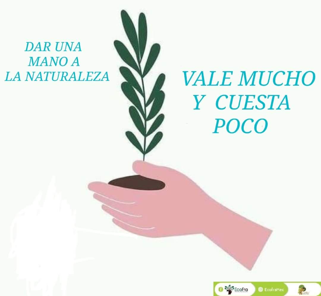 EcoFra2's tweet photo. La naturaleza no cobra por lo que nos da, por lo que es responsabilidad de todos cuidarla y respetarla 😊💚🌎
#Naturaleza #Perfecta #CuidaElAmbiente #CuidemosElPlaneta #LSRevolution #SoyEcoFra https://t.co/p6MuBH6Jvf