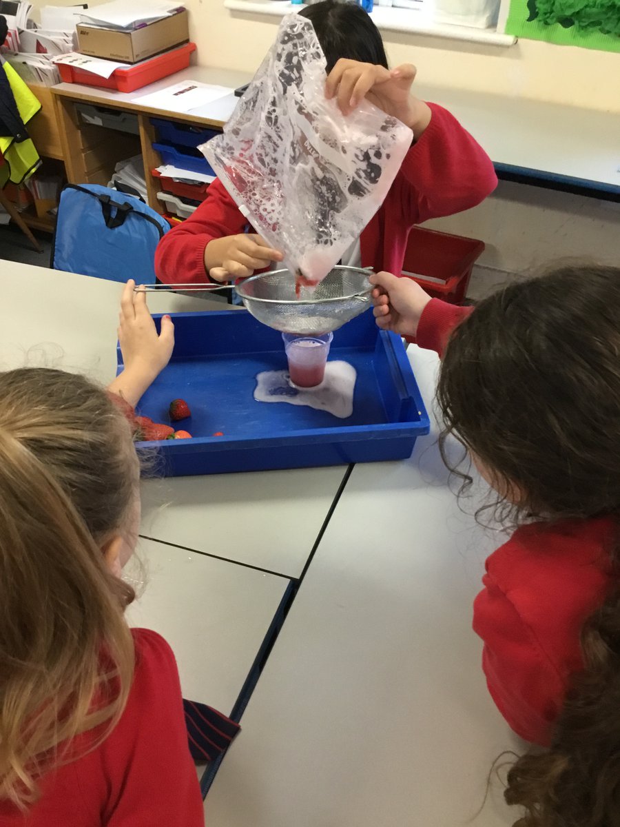 On Monday afternoon we kick started our new project 'Darwin's Delights'. The children extracted DNA from strawberries and were able to work well as part of a team. @Cornerstonesedu #darwinsdelights #science