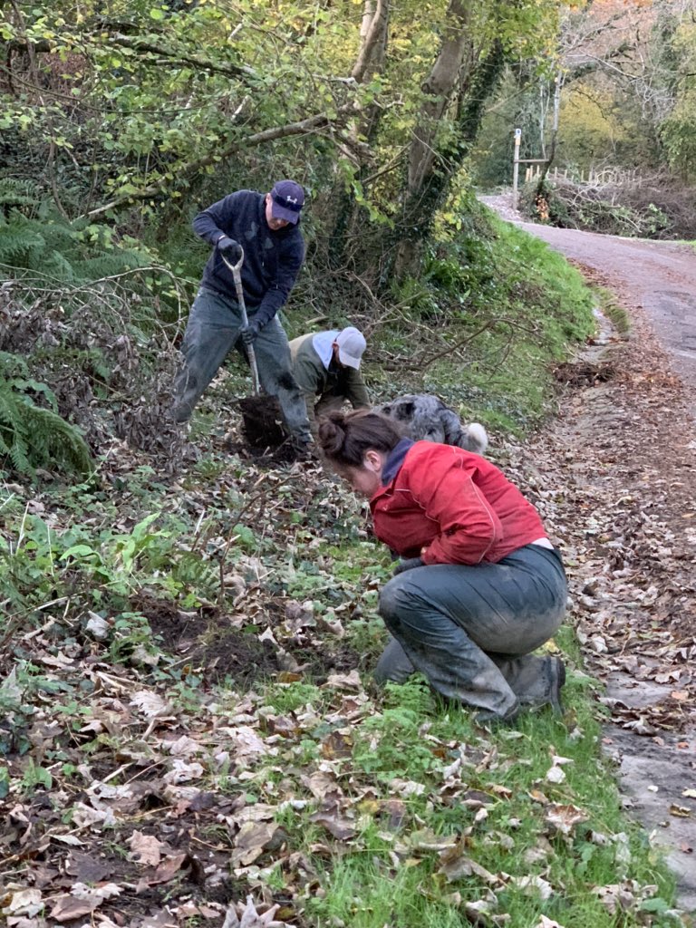 Emma Anthony (@anthonycwmrisca) on Twitter photo Guilt tripped the kids into helping me plant 40kg of daffodil bulbs this afternoon. Looking forward to my own Dylan Thomas moment next spring - hoping to see a โHost of golden daffodilsโ thank you <a href="/Jacob_cwmrisca/">Jacob Anthony</a> & <a href="/TabithaCwmRisca/">Tabitha Anthony</a> Guilt tripped the kids into helping me plant 40kg of daffodil bulbs this afternoon. Looking forward to my own Dylan Thomas moment next spring - hoping to see a โHost of golden daffodilsโ thank you <a href="/Jacob_cwmrisca/">Jacob Anthony</a> & <a href="/TabithaCwmRisca/">Tabitha Anthony</a>