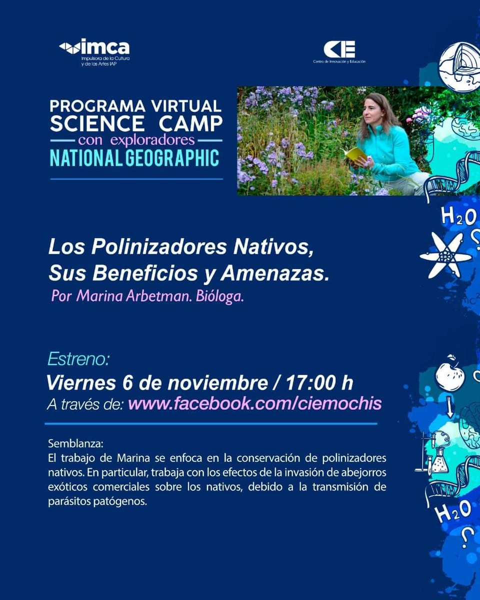 Este viernes 6 de noviembre continuamos con las charlas de divulgación científica del #virtualsciencecamp con Exploradores de National Geographic.
 Marina Arbetman en una plática sobre los efectos que tiene la invasión de abejorros exóticos.