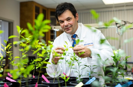 Monday, November 16th at 4pm TODAY! Join us as we host Dr. Lorenzo Rossi, UF/IFAS Indian River REC, as he presents: Rooting for the Future: Optimizing Root and Rhizosphere Dynamics for Sustainable Production Systems. @UFCALS Email ddtreadw@ufl.edu for Zoom info.