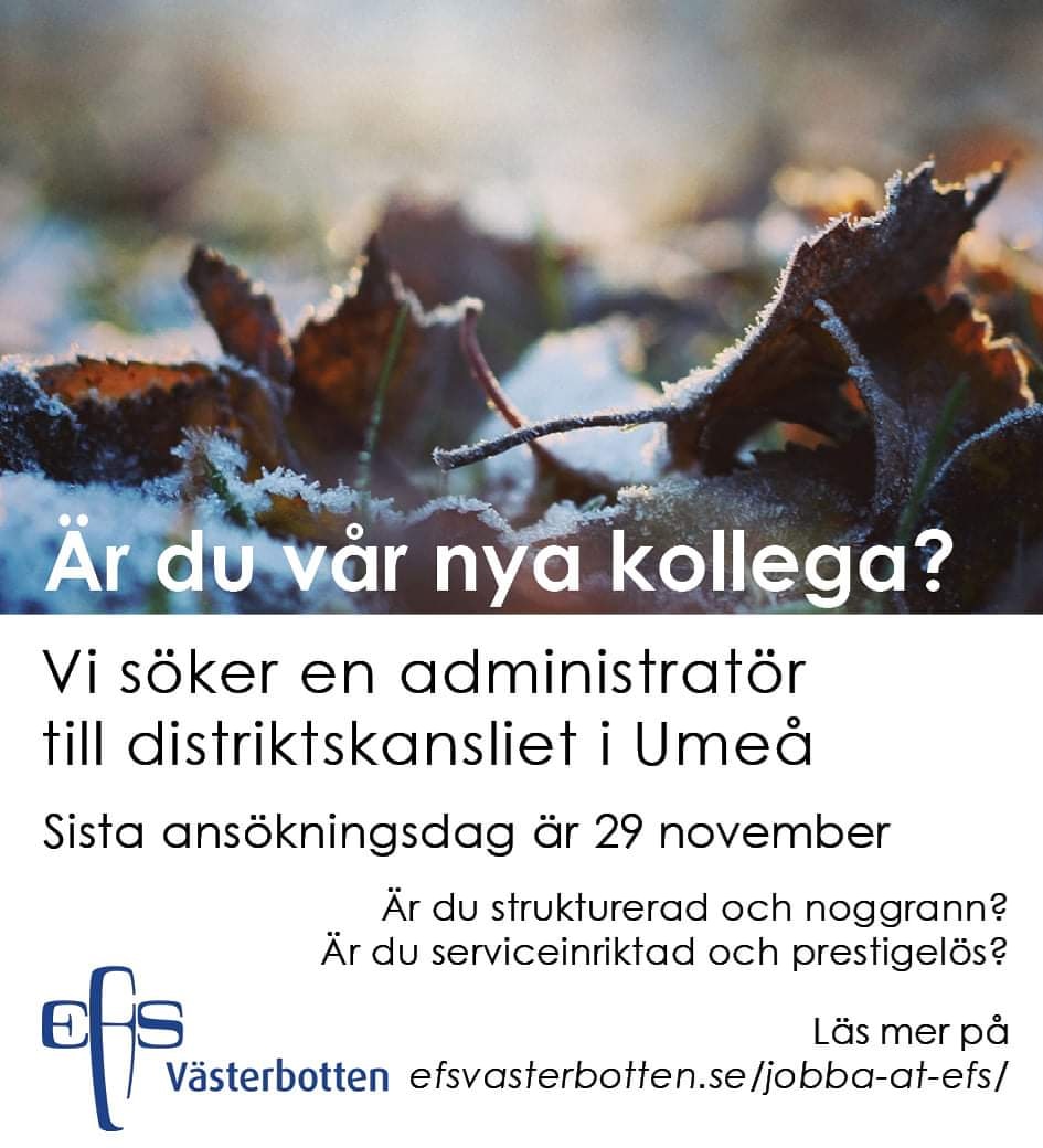 efsvasterbotten's tweet photo. Vi söker en administratör till kansliet i Umeå! Gå in på vår hemsida och läs mer https://t.co/AYPvrEAYE3

Vi ser fram emot din ansökan som ska vara oss tillhanda 29 november.
-
-
#efsvbn
#saltvbn
#svenskakyrkan
#nyttjobb
#kyrkjobb
#Umeå https://t.co/M8aLO3BWwP