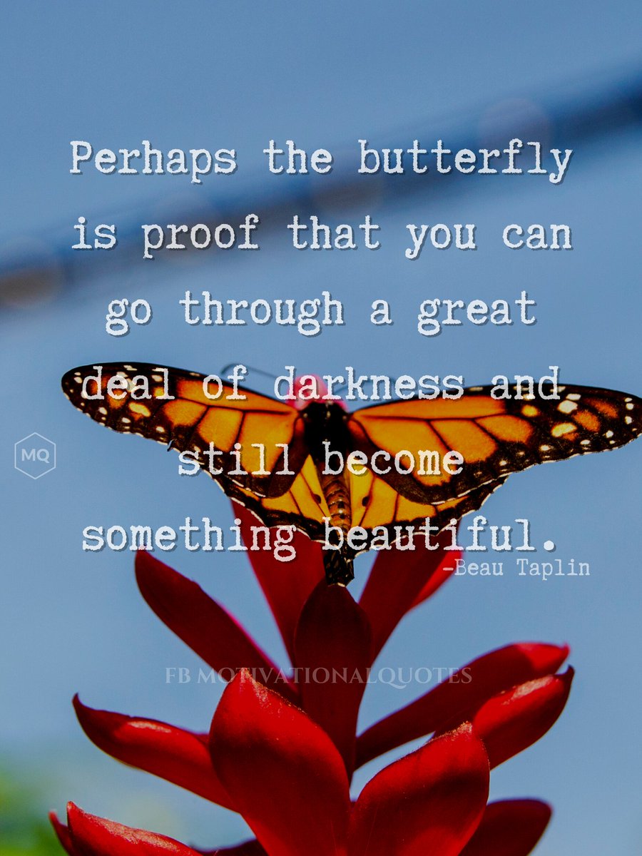 motivational's tweet photo. Something beautiful https://t.co/T9U9BC0FPU