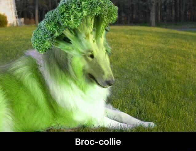 Maconia420's tweet photo. @ordurebizarree https://t.co/QDR3ZoLUsV