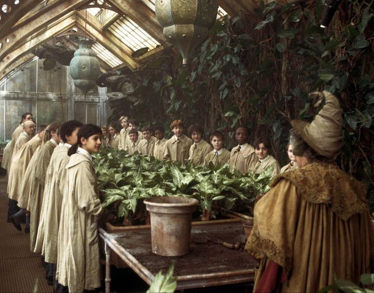  #NAMJOON:RAVENCLAW- el más listo de la clase- siempre ayuda a sus amigos a estudiar- el mejor dando consejos HERBOLOGIA- muchas plantitas en su habitación- su bonsai es su bebé