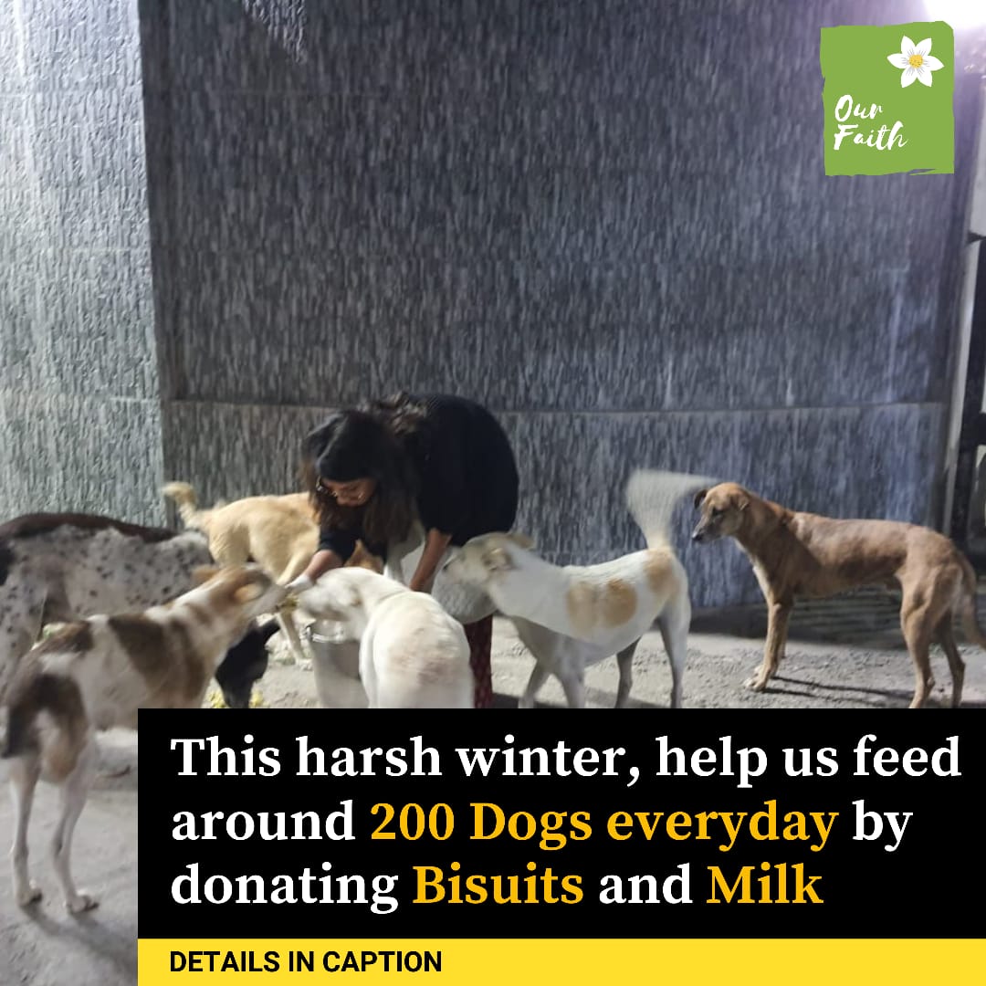 OurFaith7's tweet photo. Diwali is around the corner, and with it, cold winters.
Our feeding drives are perhaps never as looked forward to by our furends as they are during these harsh nights.
Help us feed around 200 dog's everyday by donating biscuits and milk.
#feedstrays #dehradun #Uttarakhand https://t.co/jo0h1XV9iG