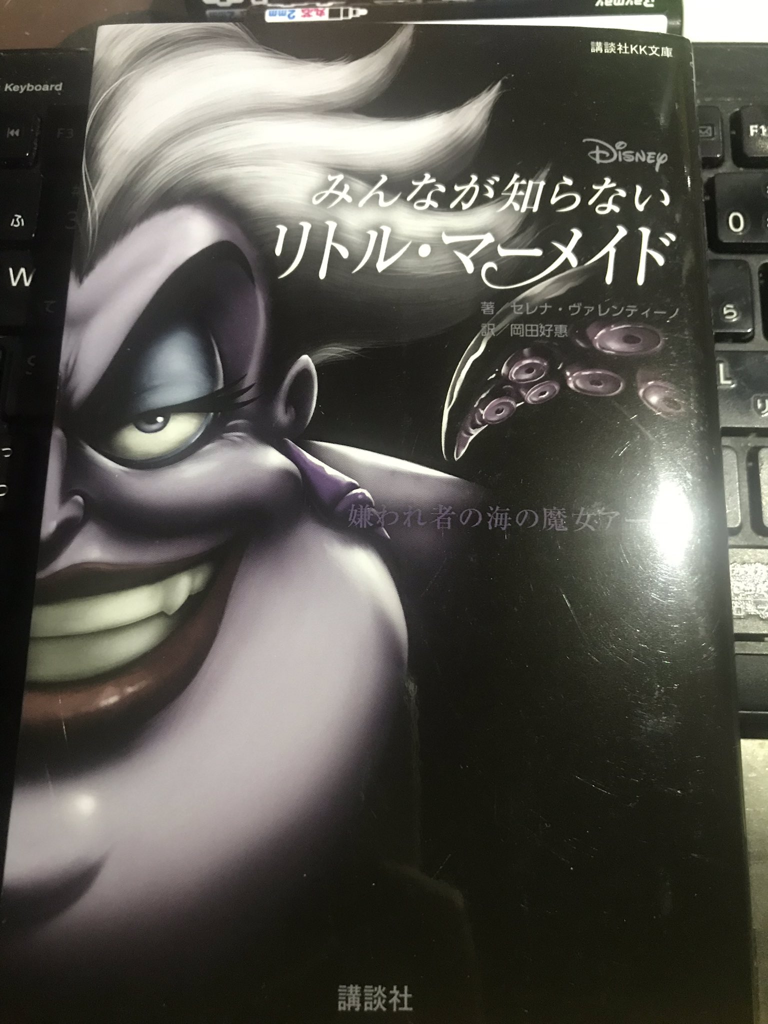 メテオdc在住者のシェーノ みんなが知らないリトル マーメイド 読了です シリーズものなので前後も読まないとな あまり書くとネタバレになってしまうけど 読んで初めて 橋を渡るには通行料が必要 というセリフの深さを知った 海の底には通行料