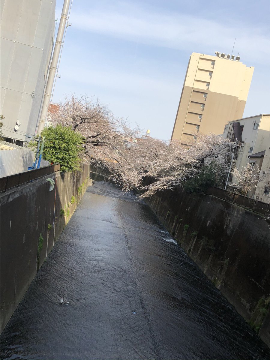 study47311063's tweet photo. 成績悪くてガン萎えしちゃったので作りました。
ここから私の巻き返し劇を始めてみたいです!応援してくださると嬉しいです! https://t.co/29DRU9mShs