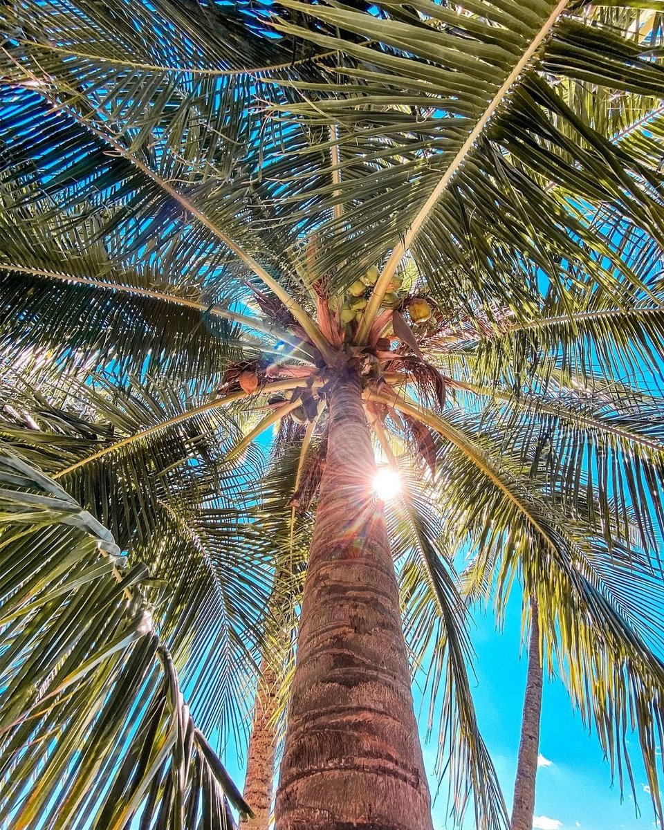 ⁠"Life is 10% what happens to you and 90% how you react to it." #beachlifemindset ⁠#thinkbeachythoughts⁠
photo: @marissa_wil⁠
#southmiami⁠