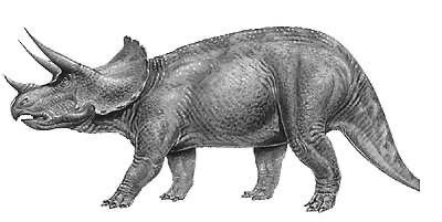 hotmeat73's tweet photo. what is every ones favorite dinosaur this one is mine it is called a triceratops https://t.co/tNsJ94K6Sc