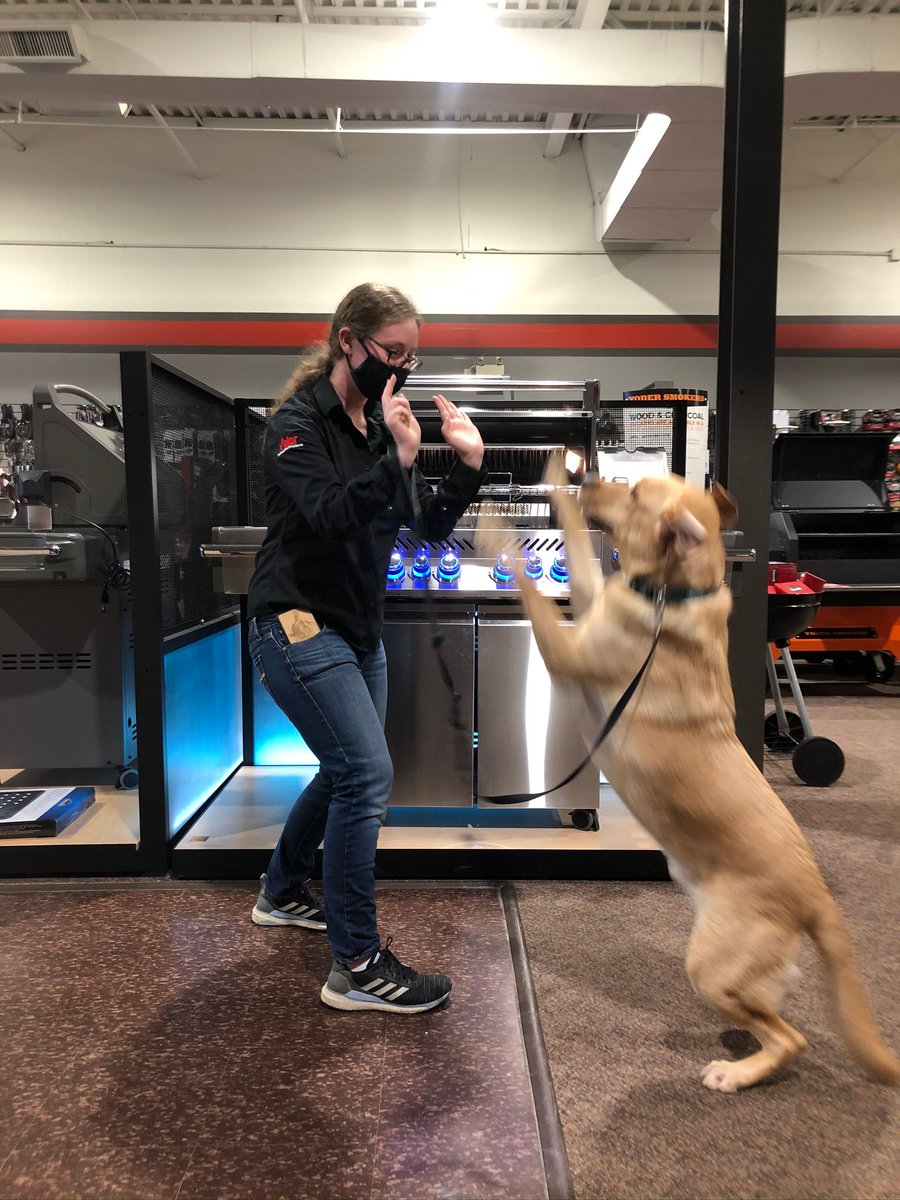 barbecuesgalore's tweet photo. When you find what you're looking for at your first stop and your dog understands too! πΎ#dogfriendlystore #highfive #woooh @NapoleonProduct https://t.co/hYnLM73ds9