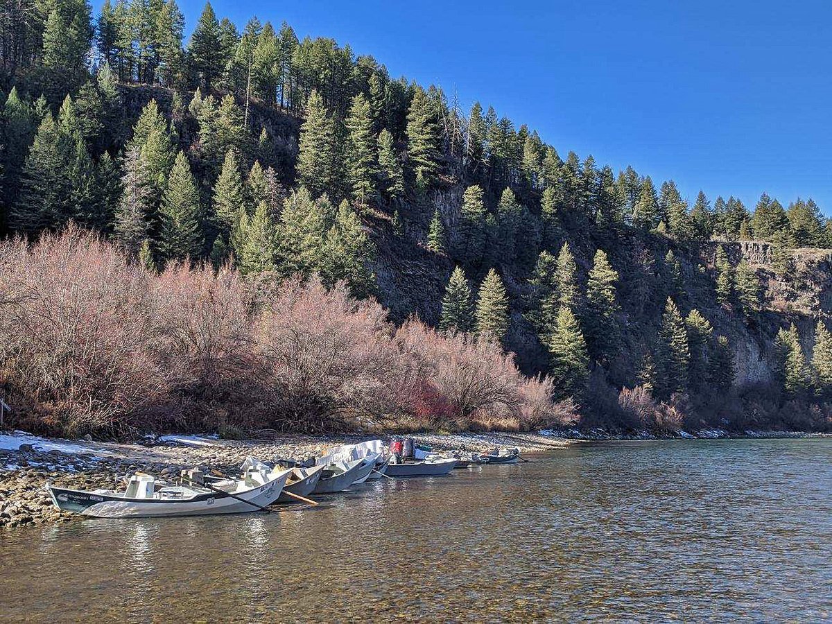 WorldCastGoFish's tweet photo. The South Fork Hilton breakdown is complete. 📷 WCA Head Guide Trevor Wine
•gofish@worldcastanglers.com•800.654.0676•⁠
#worldcastanglers #flyshop #flyfishing #idaho #flyfish #tetonvalley #southforkofthesnake #glamping https://t.co/LPYiVcohxz