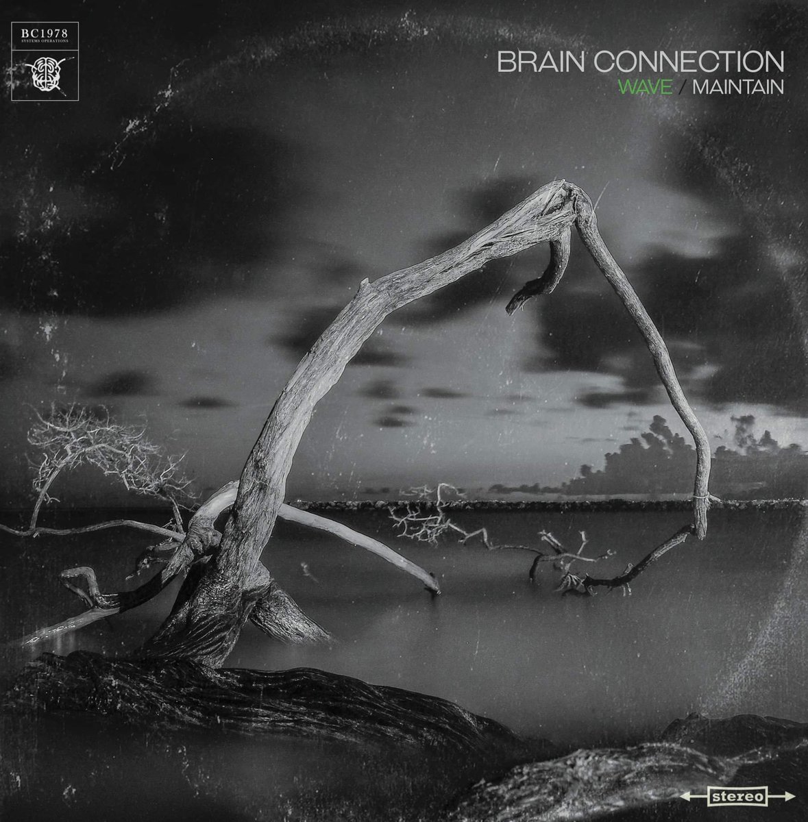 Azaia78's tweet photo. BRAIN CONNECTION - WAVE/MAINTAIN
#newproject #bc1978 #label #producer #beatmaker #instrumental #lp #linkinbio https://t.co/X23B8Kp1s9
