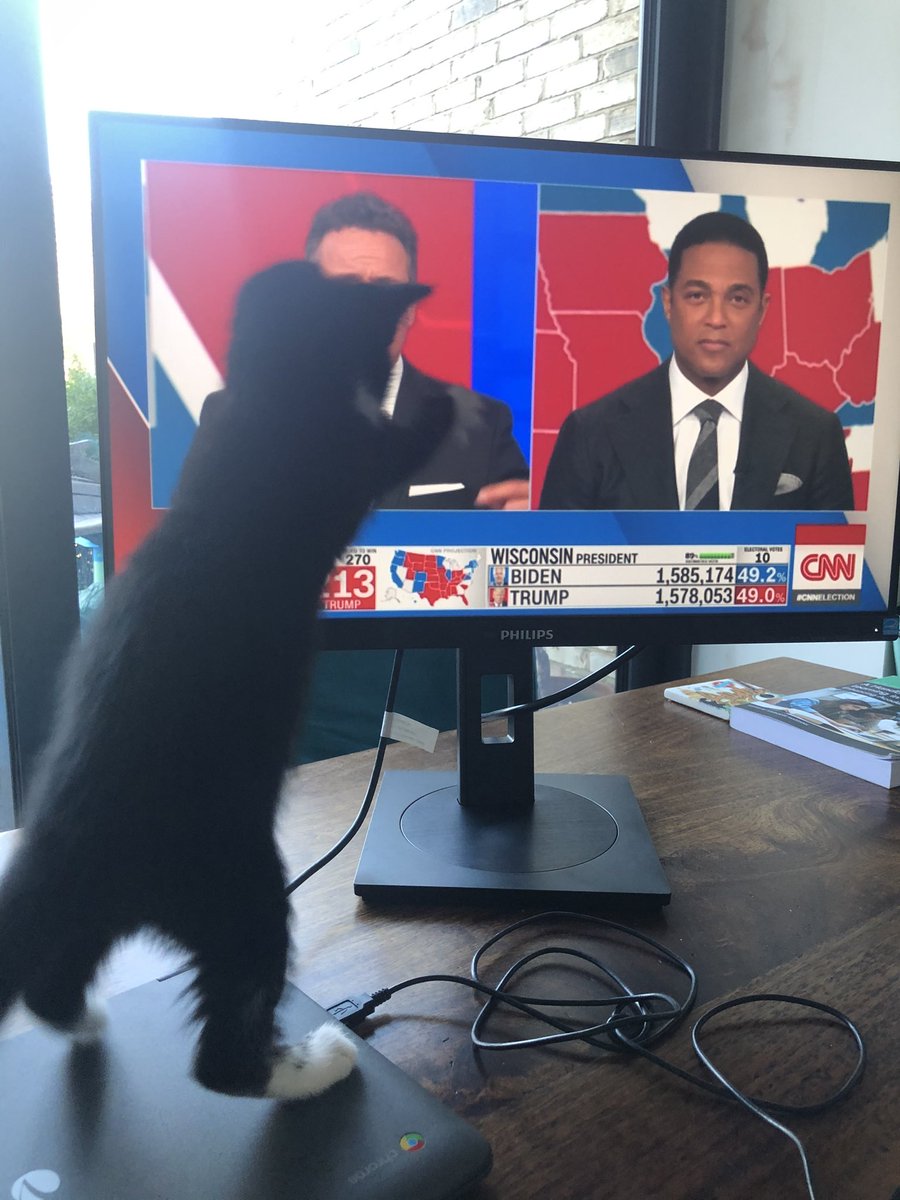 Cat commentator cheering on Wisconsin after being briefed on candidate history “He grabs WHAT?!!!”