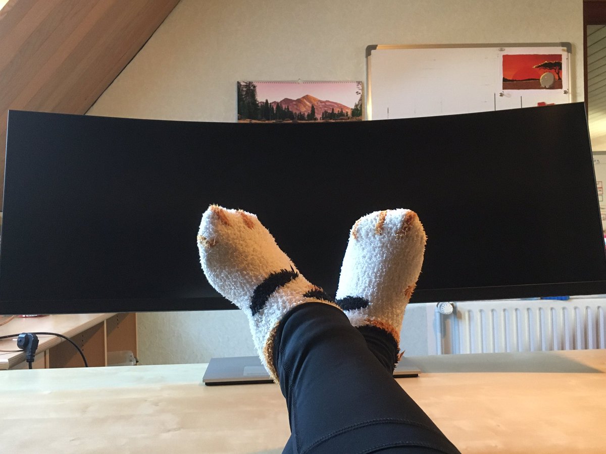 Katze tweet media