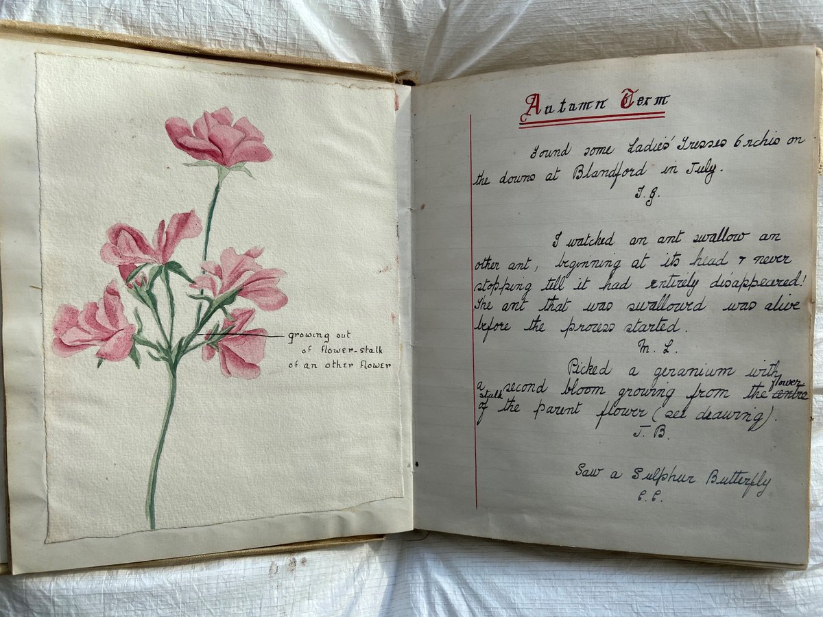 StSwithunsArch's tweet photo. Today for #SchoolArt we're sharing these watercolours featured in the Science Society book from 1911-1918.
The Science Society started in 1896 and its members would collect drawings of specimens whilst out on expeditions in Hampshire.
#FromtheArchive #StSwithunsScience. https://t.co/WJEHwewu0s