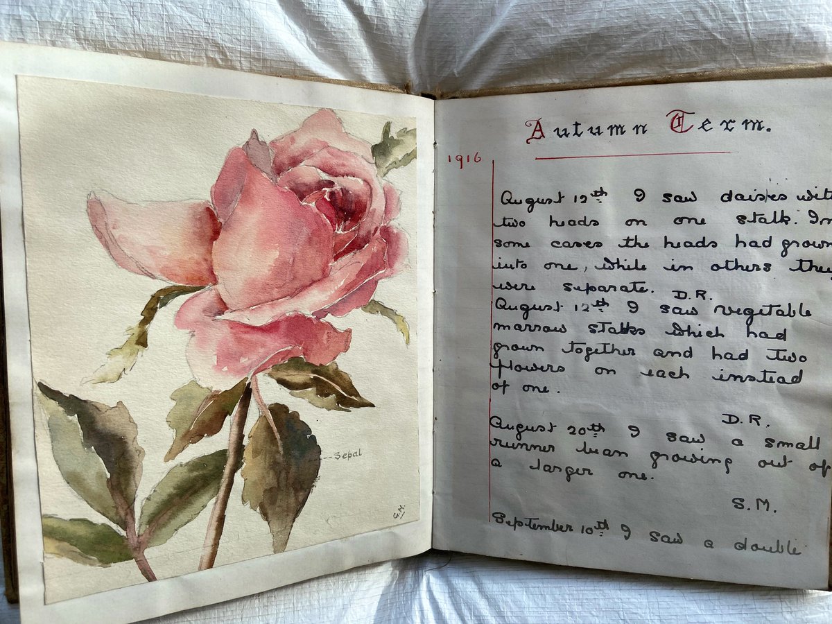 StSwithunsArch's tweet photo. Today for #SchoolArt we're sharing these watercolours featured in the Science Society book from 1911-1918.
The Science Society started in 1896 and its members would collect drawings of specimens whilst out on expeditions in Hampshire.
#FromtheArchive #StSwithunsScience. https://t.co/WJEHwewu0s