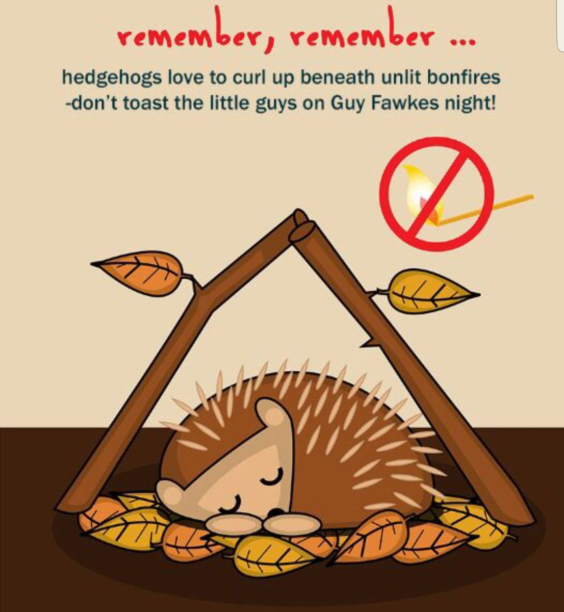OPENABOOK3's tweet photo. Anyone heading into lockdown with a whizz, pop and bang?  Remember to check for hedgehogs, frogs, toads and other little creatures before you light your bonfires! #BonfireNight #GuyFawkes https://t.co/lxYNhIVu3u