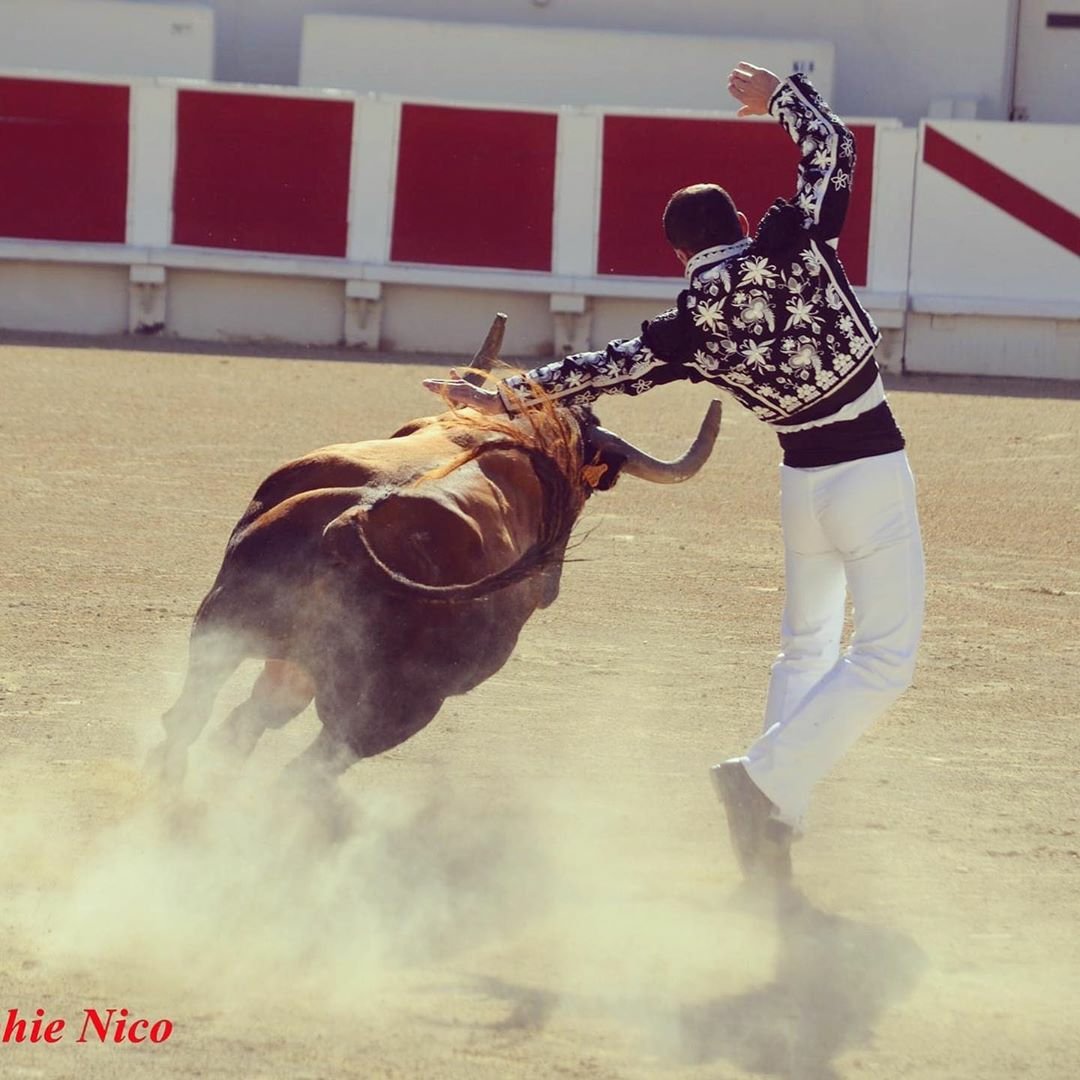 📸 Béziers 2020 vu par Nicolas Lottin #BAPTISTEBORDES @ganaderiamarge <a href="/ArenesBeziers/">News Arènes Béziers</a>  
Reposted from <a href="/Datilelbayo/">Baptiste Bordes</a>