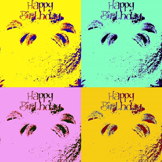 See this Instagram photo by @shawnlovesweetsavory instagram.com/p/CGUJuQ7Hzdz/…