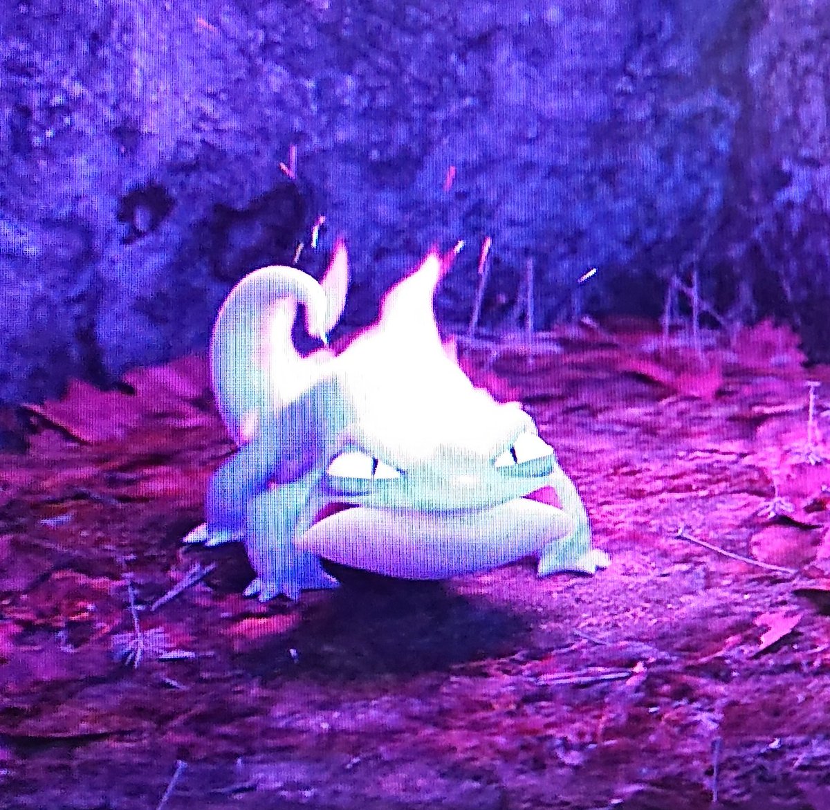 ファンタビでティナがサラマンダーって言ったらきっちゃんが飛び跳ねた 笑 E E Z Z ツイレポ ファンタビでティナがサラマンダーって言ったらきっちゃんが飛び跳ねた 笑 E E Z Z ツイレポ
