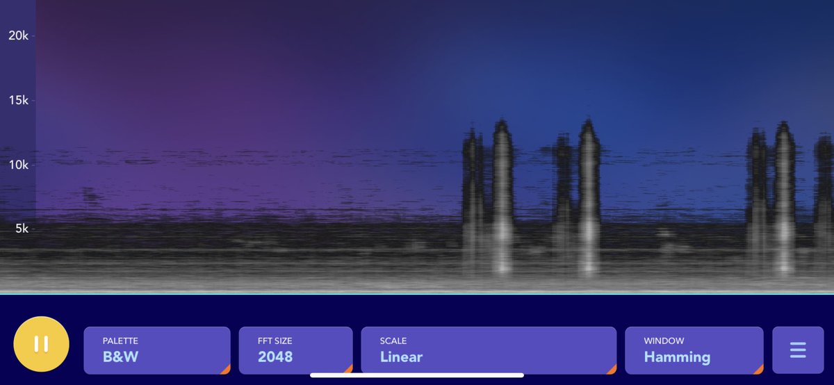 #9172943819 #STOP #HURTING #ME #MANDELDOTPING #FREQUENCY #ABUSE