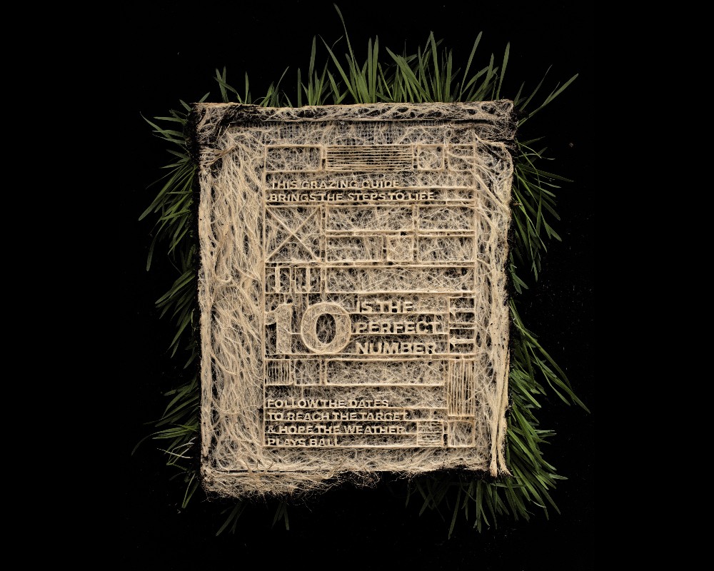 Some books grow on you, but this one was grown, literally from grass. Symbolising the power of natural resources ’The Book That Grew’ by @wearerothco for @AIBIreland, is a guide for farmers on sustainability & efficiency. It won Graphite Pencil for #Typography at #dandad20.