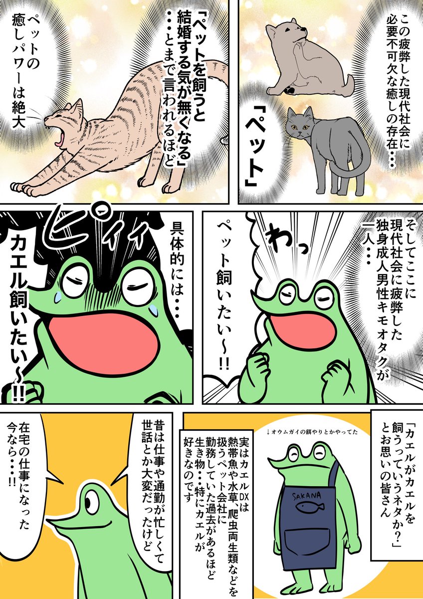 カエルdx オタクがカエルをハンティングして飼育するレポ漫画 T Co Y6h1mcvvil