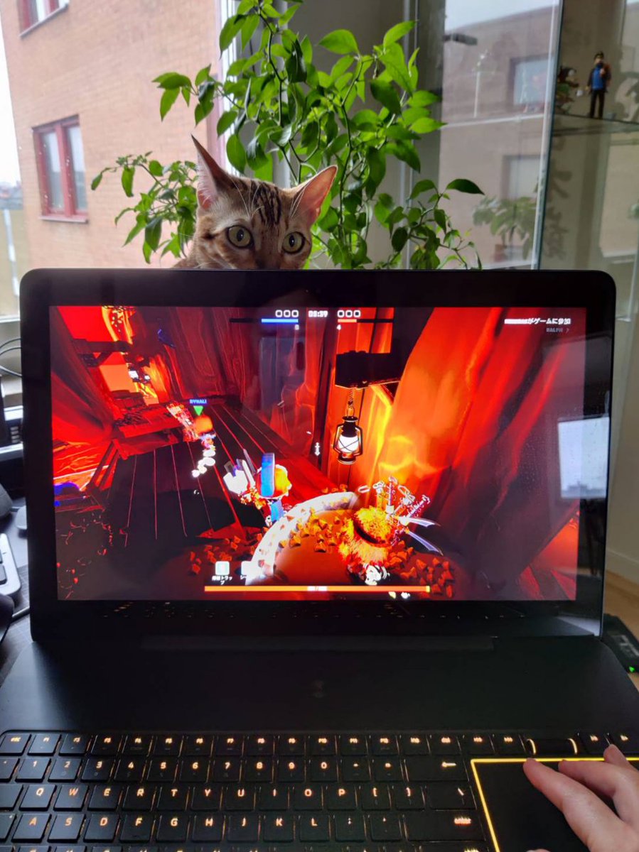 PepeXdesks's tweet photo. ゲームプレイ中にプレイヤーのアイトラッキングを絶妙にこなしてくる猫。でも結果は開示されない。
@FlamebaitGames #forgeandfight https://t.co/J3jG3xNFs8