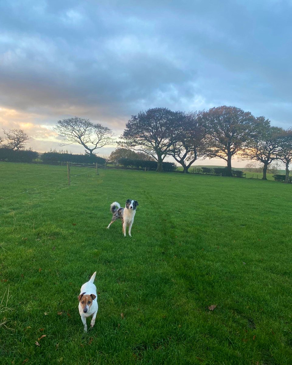 Meganrosexo's tweet photo. It’s taken a long time, but I think it’s finally my turn to be happy - a few months ago I didn’t think I’d ever get here. Onwards and upwards #positive #change #itsokaynottobeokay #temporarysetback #future #puppies https://t.co/gHuDEy3bZL