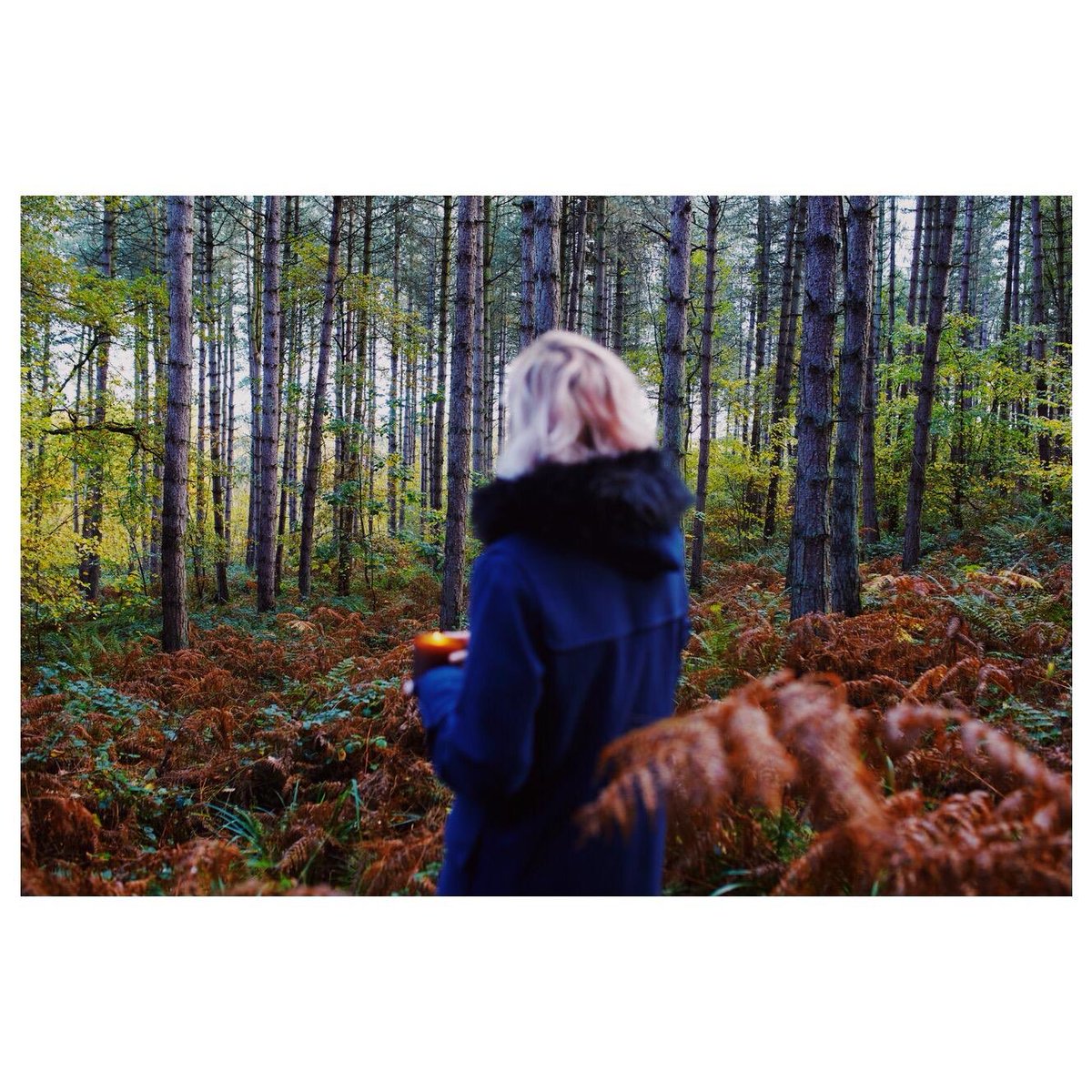 The uplifting and positive effects of both the Eucalyptus and Pine are gorgeous! rebeccatracey.co.uk/collections/ca… #natural #NationalStressAwarenessDay