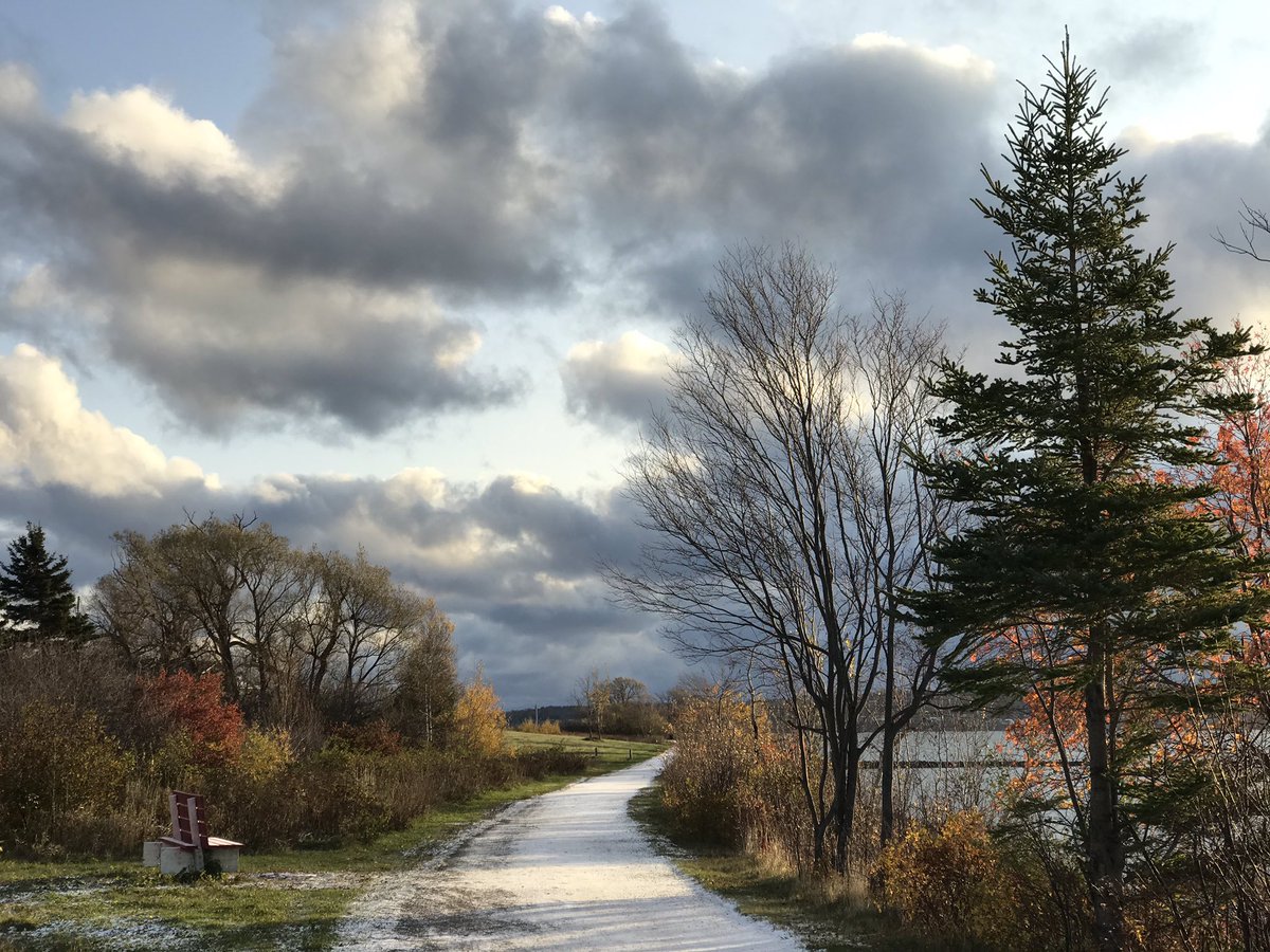 tabithalco's tweet image. It’s a beautiful day, make it count everyone!

#WeOnlyHaveToday #MakeItCount #GetOutside #MorningRun #TheBest