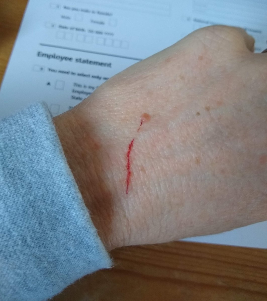 Attempting new job with a demanding cat needing attention! #CatsOfTwitter #NewJob