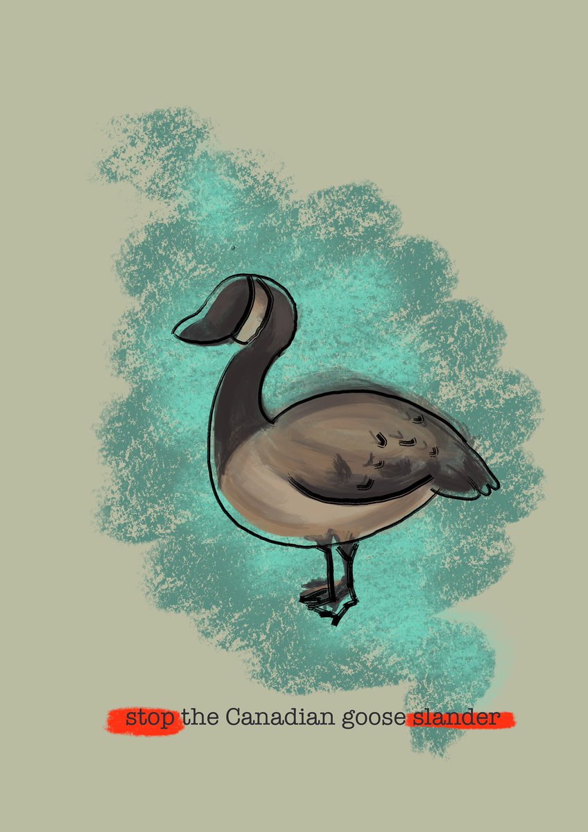 lemonbutterbb's tweet photo. maybe i did feverishly draw this bc i hate when ppl shit on canadian geese for just vibing... maybe... https://t.co/ndmzHTfAgY